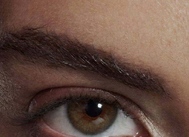 Macro de ojo: iris por sectores y línea de agua